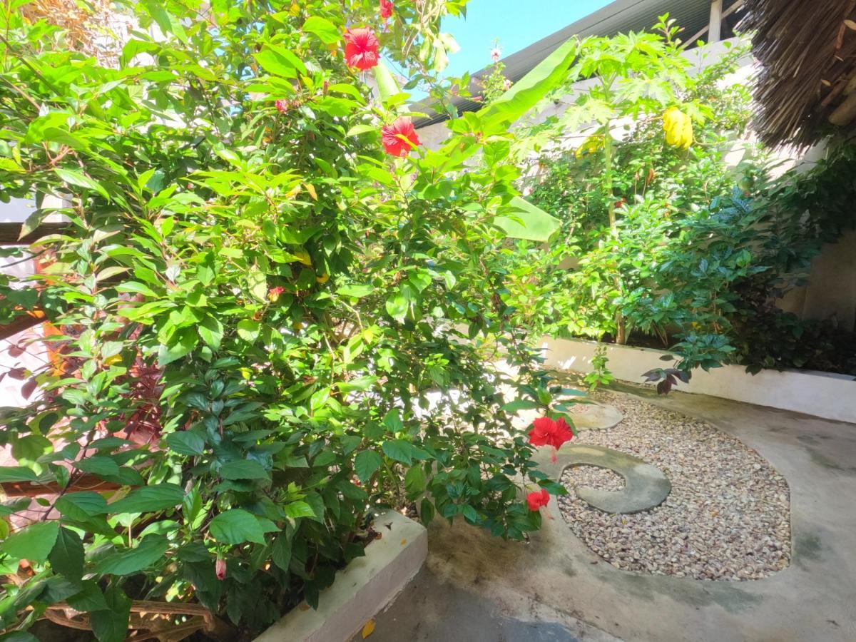Bed and breakfast Savi House Nungwi Extérieur photo